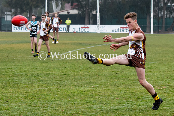 20190803 RS v Belco-35.jpg