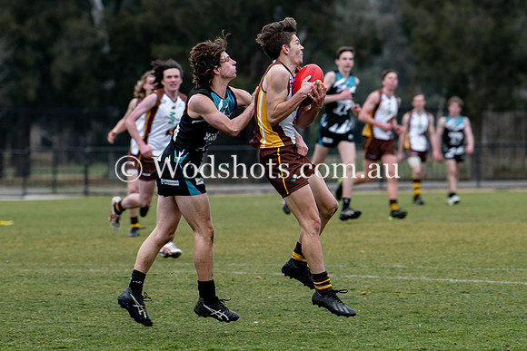 20190803 RS v Belco-84.jpg