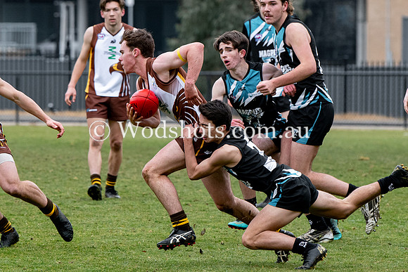 20190803 RS v Belco-49.jpg