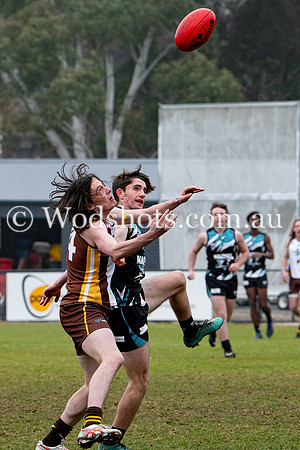20190803 RS v Belco-19.jpg