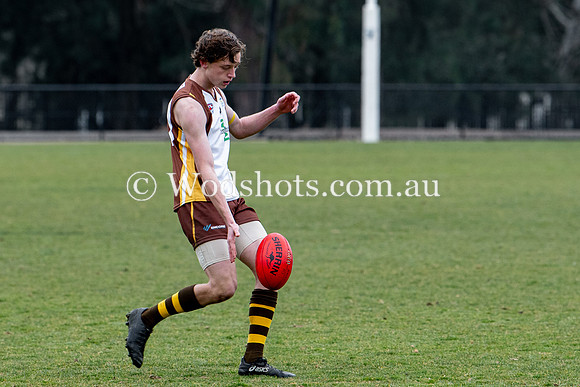 20190803 RS v Belco-77.jpg