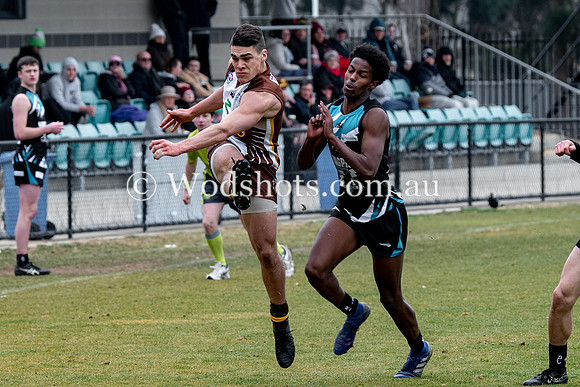 20190803 RS v Belco-63.jpg