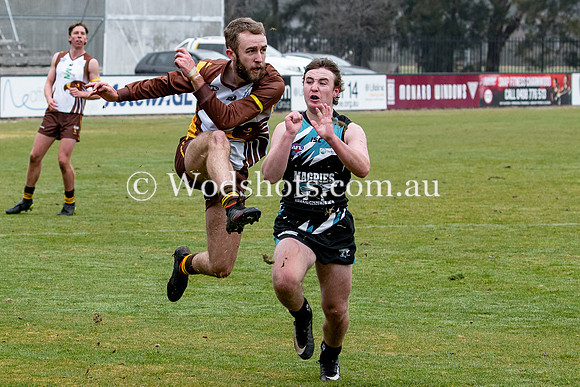 20190803 RS v Belco-46.jpg