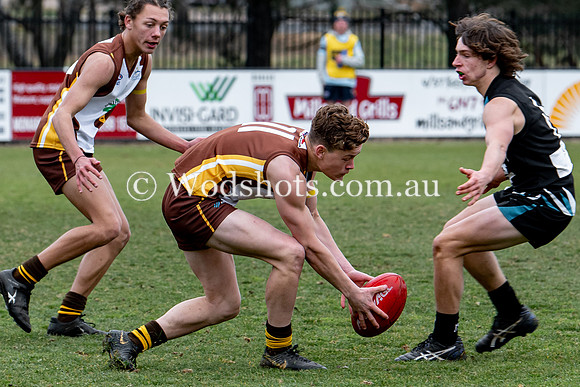 20190803 RS v Belco-89.jpg
