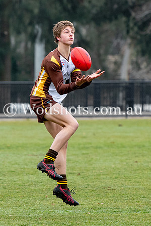 20190803 RS v Belco-27.jpg