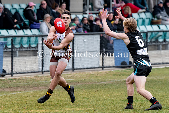 20190803 RS v Belco-59.jpg