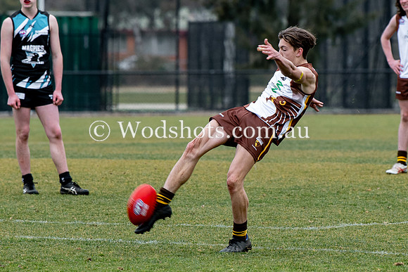 20190803 RS v Belco-85.jpg