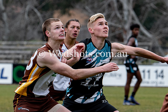 20190803 RS v Belco-58.jpg