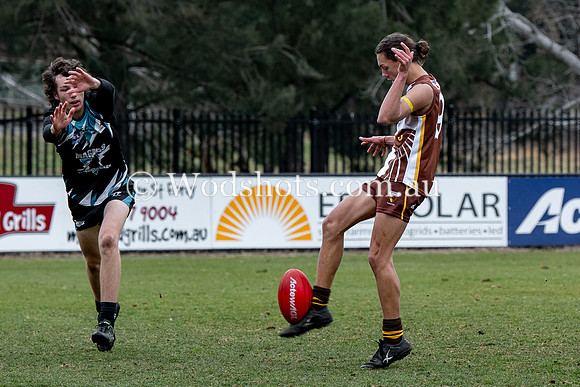 20190803 RS v Belco-86.jpg