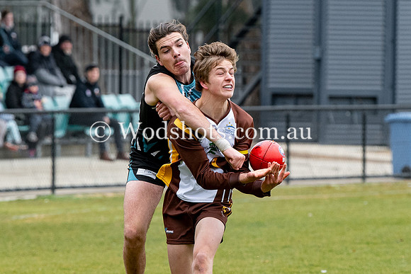 20190803 RS v Belco-24.jpg