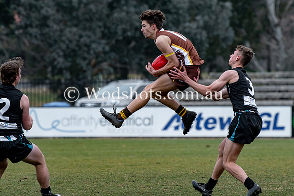 20190803 RS v Belco-66.jpg