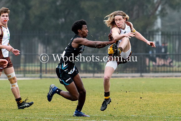 20190803 RS v Belco-32.jpg