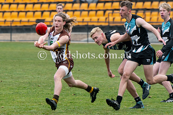 20190803 RS v Belco-40.jpg