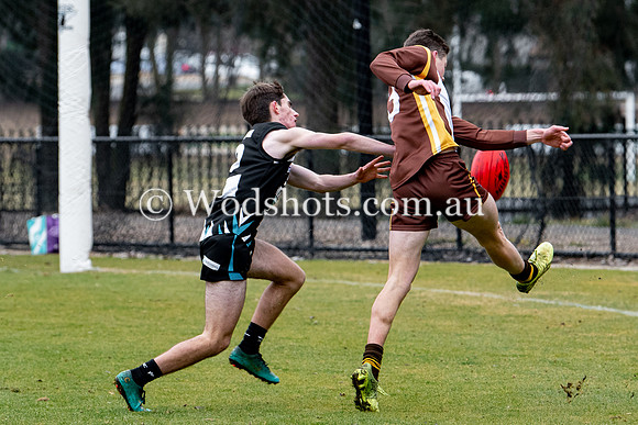 20190803 RS v Belco-53.jpg