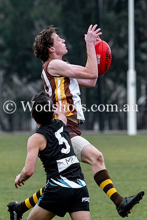 20190803 RS v Belco-76.jpg
