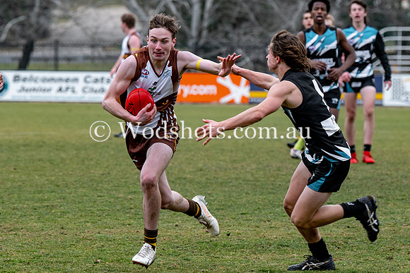 20190803 RS v Belco-78.jpg