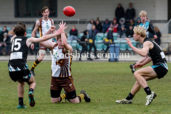 20190803 RS v Belco-51.jpg