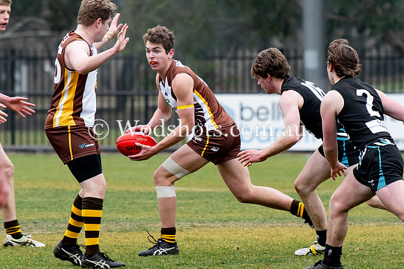 20190803 RS v Belco-26.jpg