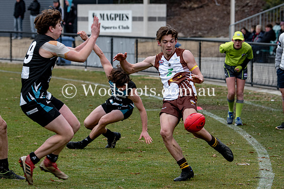 20190803 RS v Belco-79.jpg