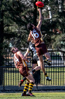 20190803 M1s v Belco-2.jpg
