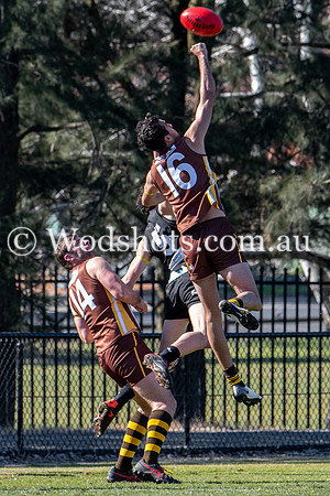 20190803 M1s v Belco-2.jpg