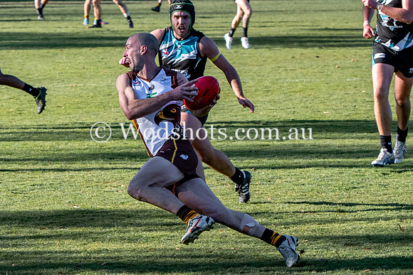 20190803 M1s v Belco-33.jpg