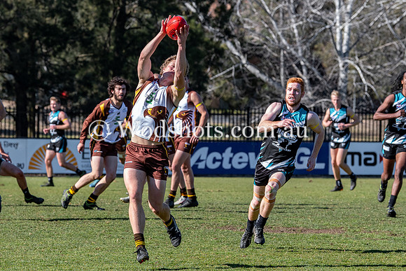 20190803 M1s v Belco-9.jpg