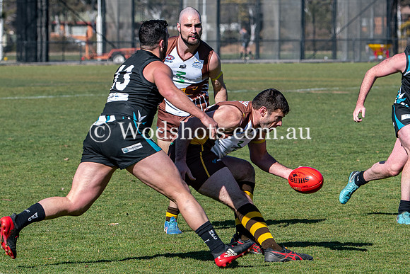 20190803 M1s v Belco-4.jpg