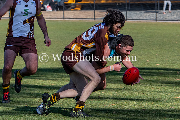 20190803 M1s v Belco-25.jpg