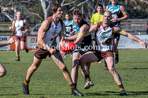 20190803 M1s v Belco-7.jpg