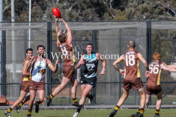 20190803 M1s v Belco-11.jpg