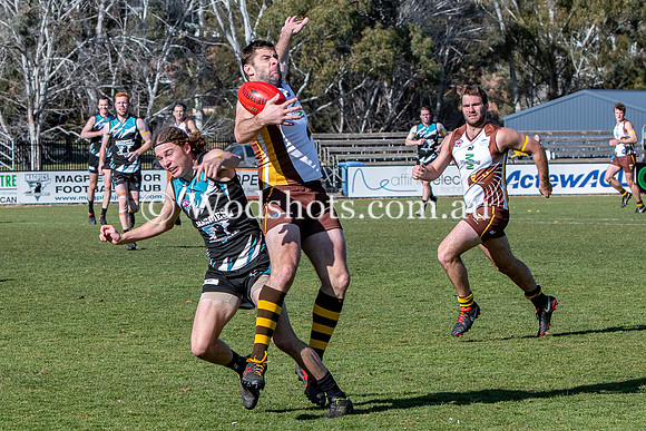 20190803 M1s v Belco-18.jpg