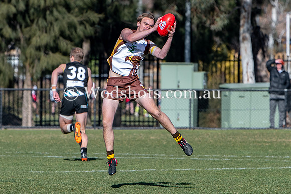 20190803 M1s v Belco-19.jpg