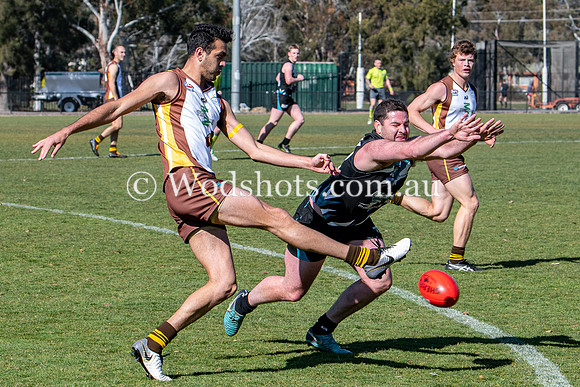 20190803 M1s v Belco-6.jpg