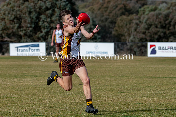 20190629 M1s v Jets-4.jpg