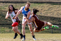 20190629 M1s v Jets-3.jpg