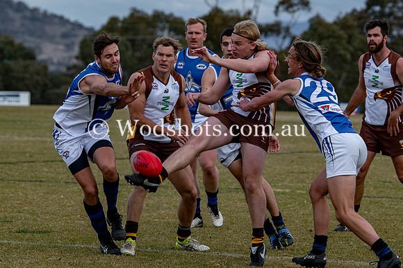 20190629 M1s v Jets-33.jpg