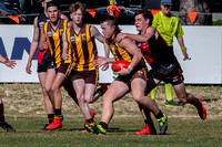 20190825 U17s v EL-10.jpg