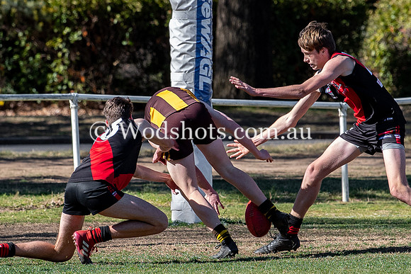 20190825 U17s v EL-19.jpg