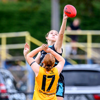 20260517 All Stars U15 Girls Latrobe v Eastern-1