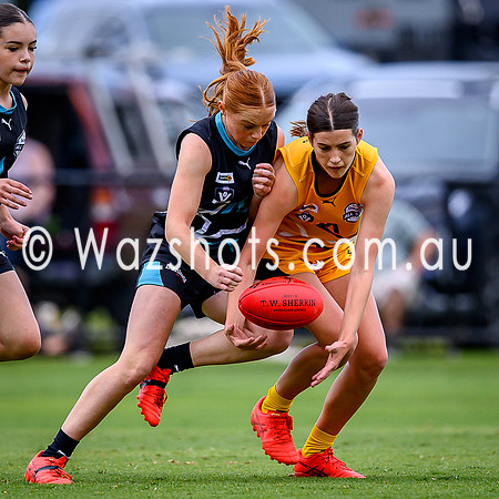 20260517 All Stars U15 Girls Latrobe v Eastern-13
