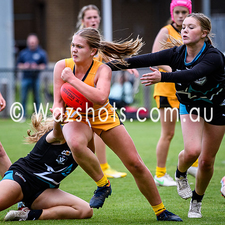 20260517 All Stars U15 Girls Latrobe v Eastern-49
