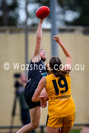 20260517 All Stars U15 Girls Latrobe v Eastern-72