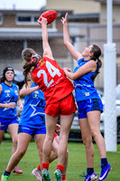 20260517 All Stars U15 Girls Western v Southern-19