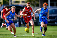 20260517 All Stars U13 Boys Harbert-5