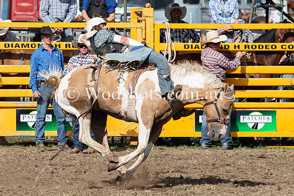 2020 QBN Rodeo-18.jpg