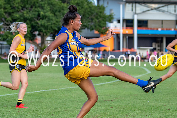 20201017 WPL v Tigers-14.jpg