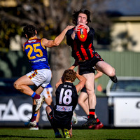20260627 Maffra v Moe Seniors-10