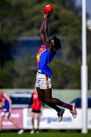 20260627 Maffra v Moe 18s-16