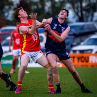 EDFNL V WGFNL